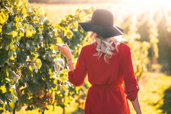 the-vineyards-lifestyle-1